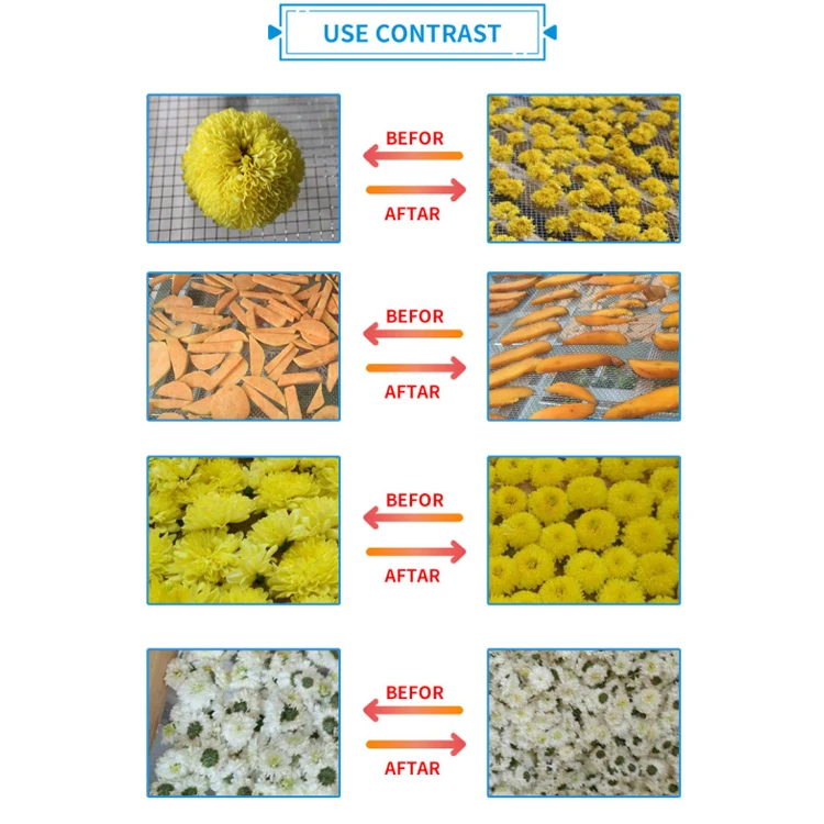 Industrial Freezing Food Vacuum Dryer Used for Apple Banana Drying