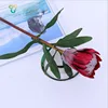 Astonishing High Simulation Protea Flower Single Stem Iron Wire Wrapped Inside