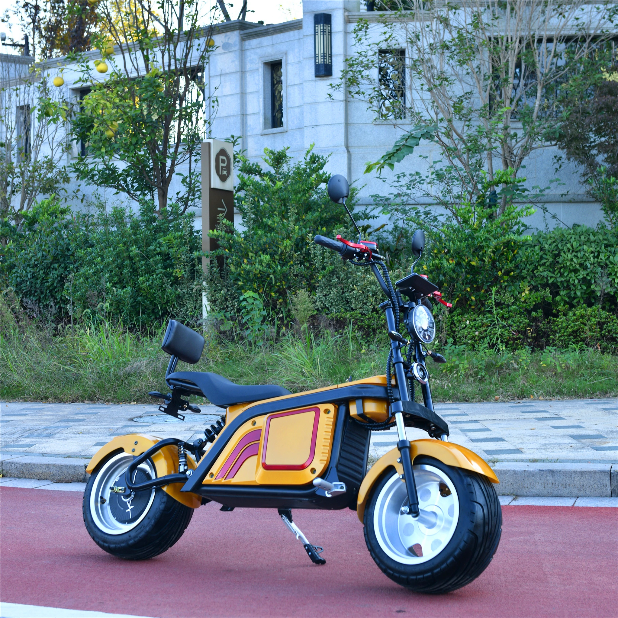 

Safety And Sanitary Two-Wheel Scooter 1000/1500/2000W Electric Scooter Citycoco