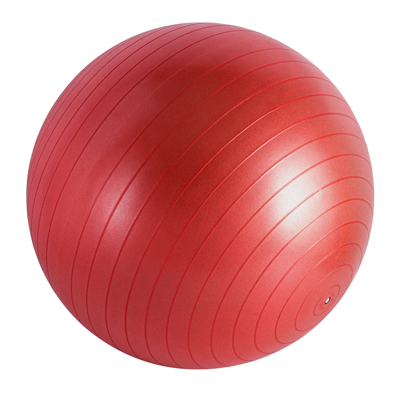 TOPKO 65CM Anti Burst Matte Surface Fitness Gym Yoga Ball with air Pump