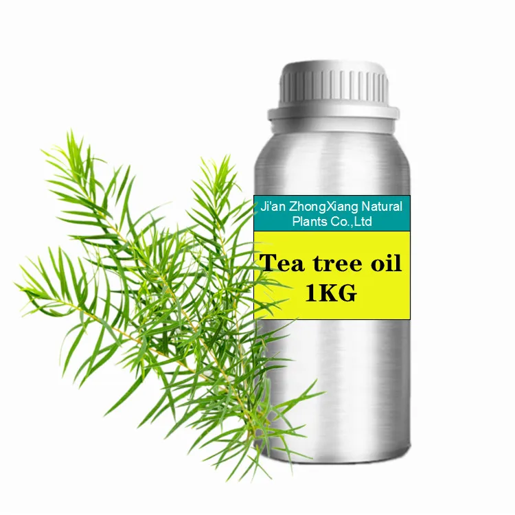 

Therapeutic Grade Tea Tree Essential Oil Oils Bulk Wholesale for Skin, Hair, Dry Scalp, Nail, Aromatherapy Diffuser