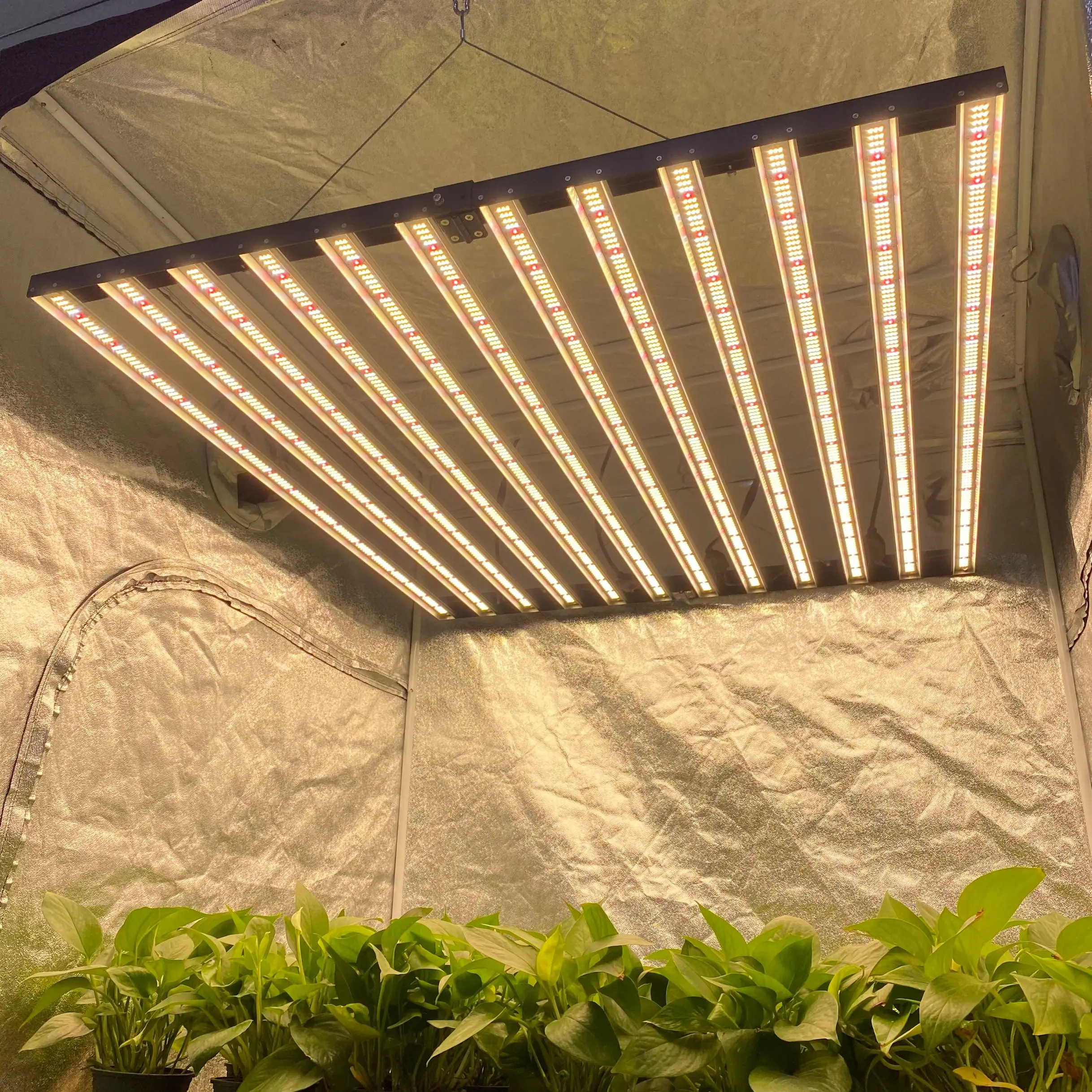 

Indoor Square Modules Full Spectrum Greenhouse Adjustable Board Cultivation 1000W Led Grow Light