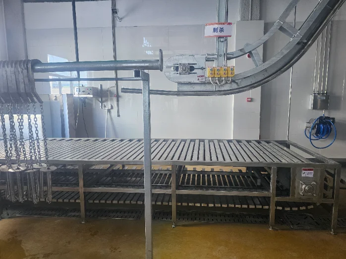 Automatic Pig Slaughterhouse Equipment Combined Scalding and Heair Remove Machine for Industrial Swine Hog Abattoir Line
