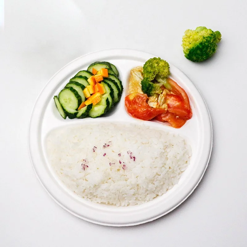 

9 Inch Biodegradable 3 Compartment Disposable Customized Shape Sectional Paper Plates for Kids