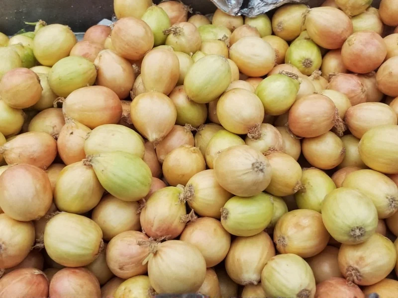 Do Shallots Need Refrigeration? Storage Guide