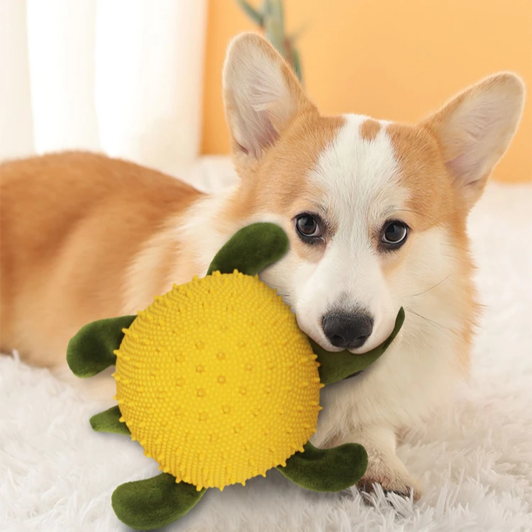 

Factory direct sales high quality pet toys outdoor training play chew pet toys, Yellow green