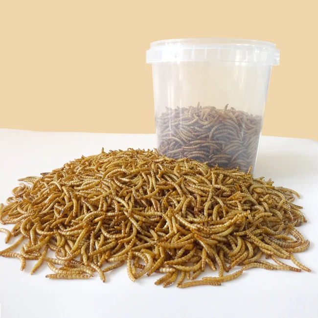 
Top Rated Hot Selling Wholesale High Quality High Nutrition High Protein Feeding Grade Dried Mealworm In Tub For Small Animals 