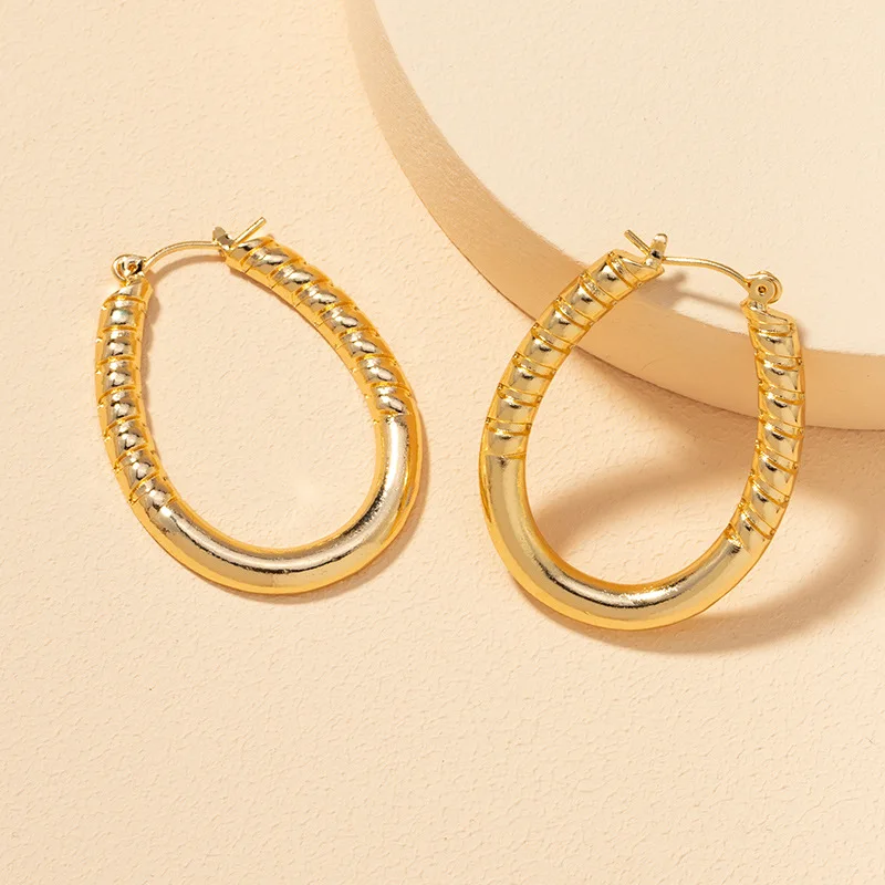 

Trendy Geometric Metal Texture Hoop Earrings Simple Alloy Small Ear Buckle Earring Women Jewelry Accessories 202103
