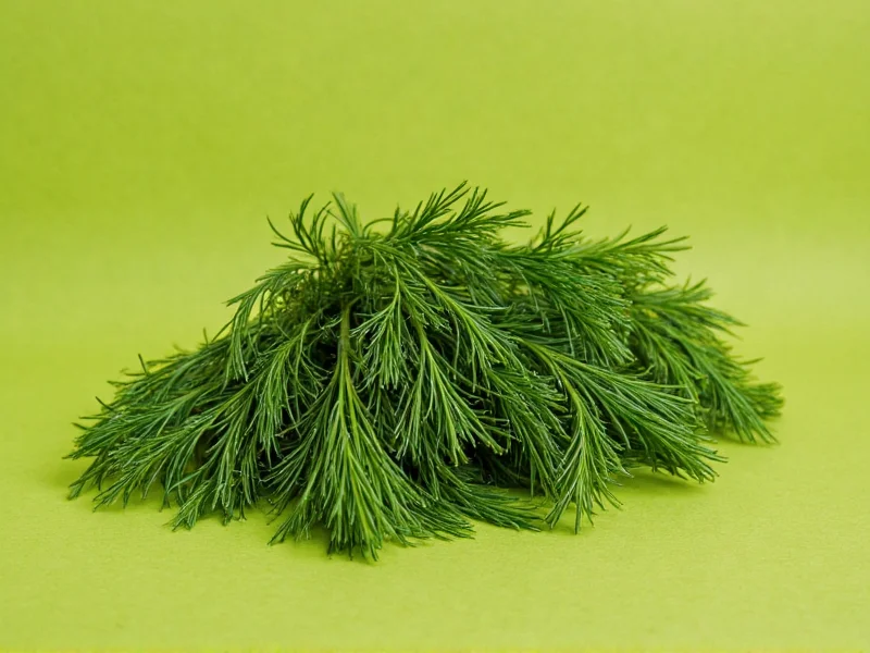 Best Dill Substitutes: Practical Alternatives for Any Recipe