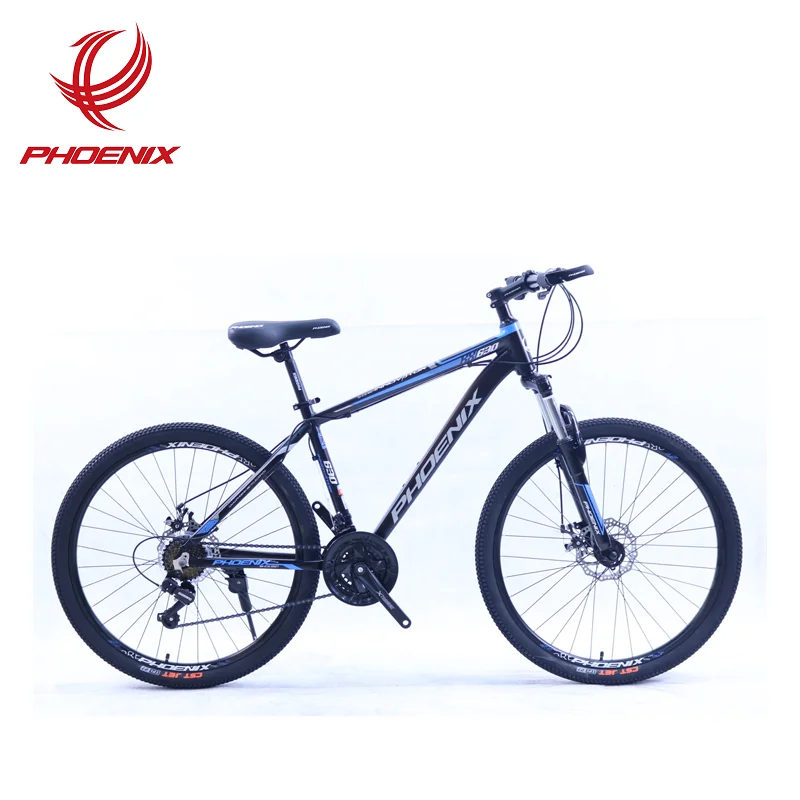 phoenix bike brand