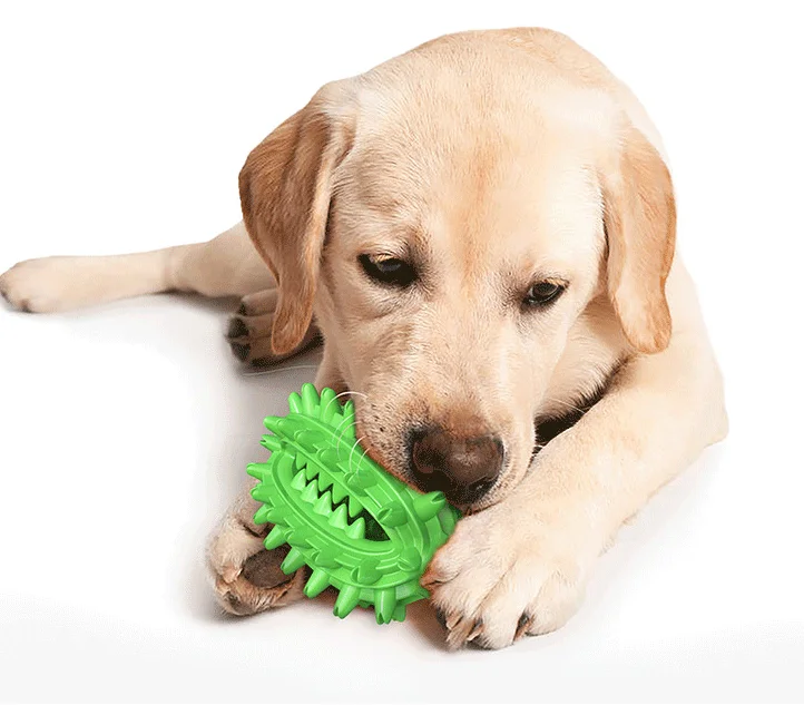 

Fairy Ball Molar Ball Intellegence Pet Puppy Toy Ball Rope Silicone Dog Toys Chew