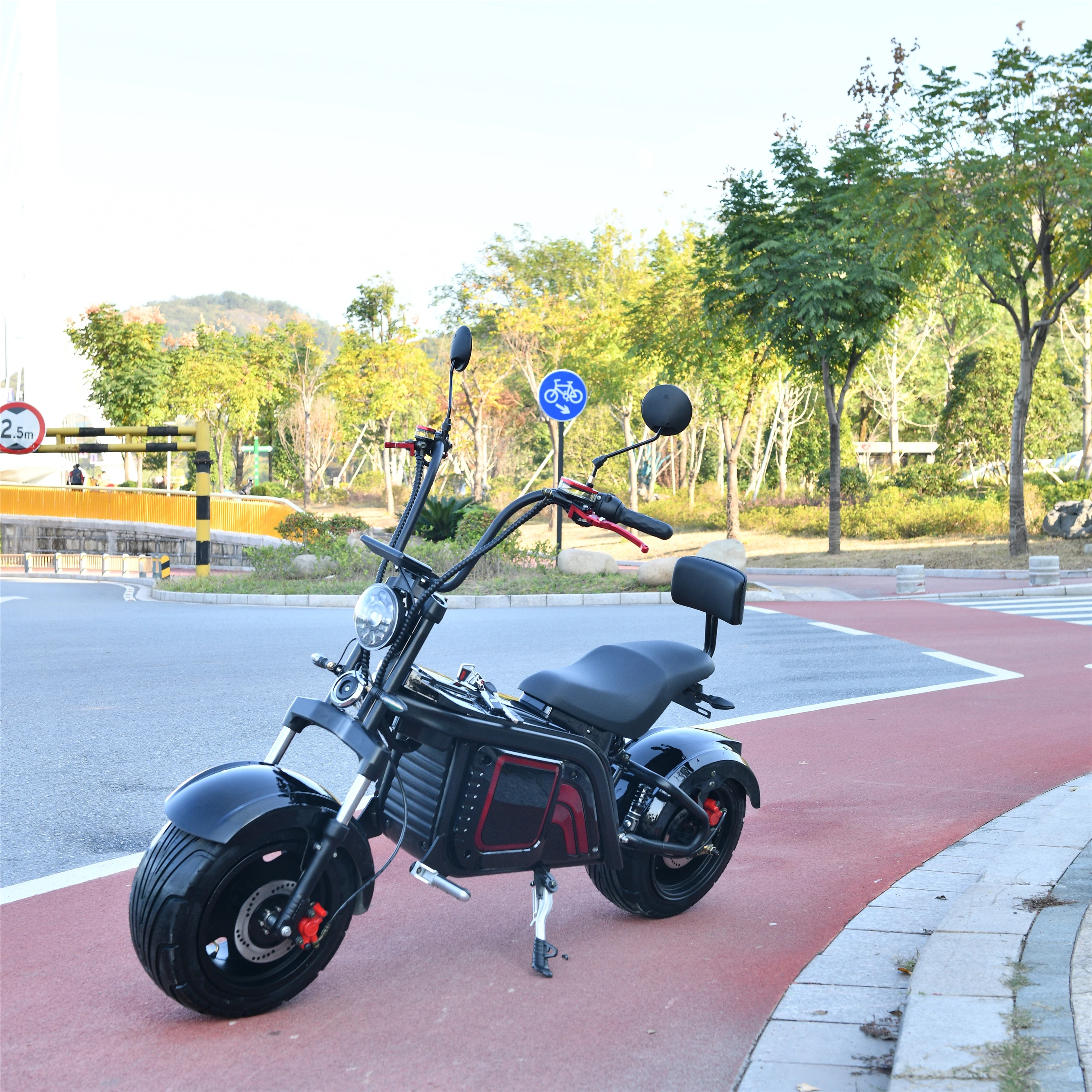 

2022 New Model 3000W EEC Electric Scooter Electric Motorcycle Citycoco Scooter COC Approved