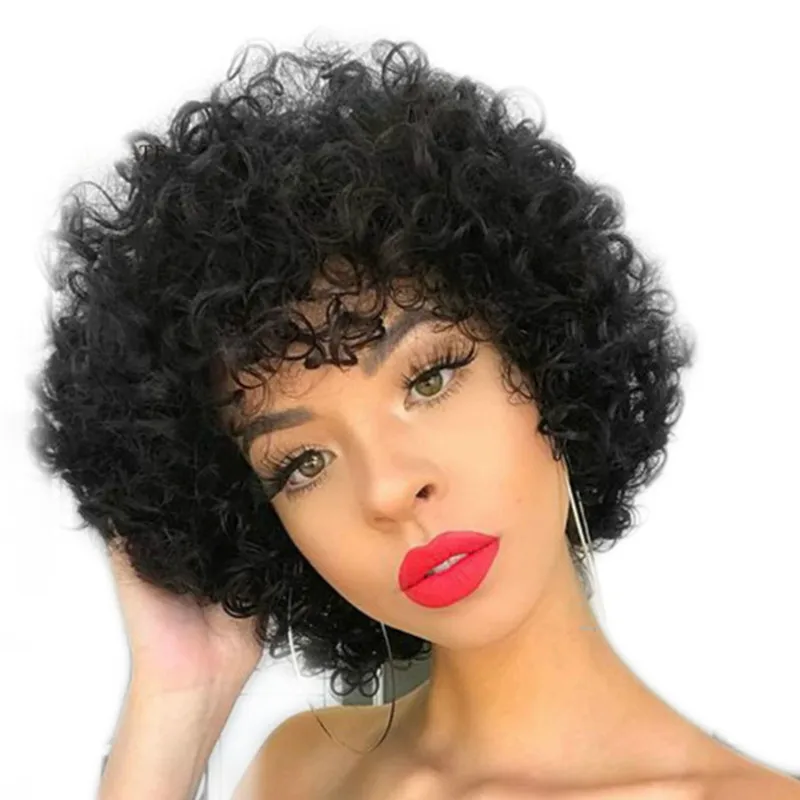 

Dropshipping New Fashion Hot Sell Short Afro Curly Hair Wigs Shaggy Hair Head Cover Small Curve Synthetic Hairpiece For Woman