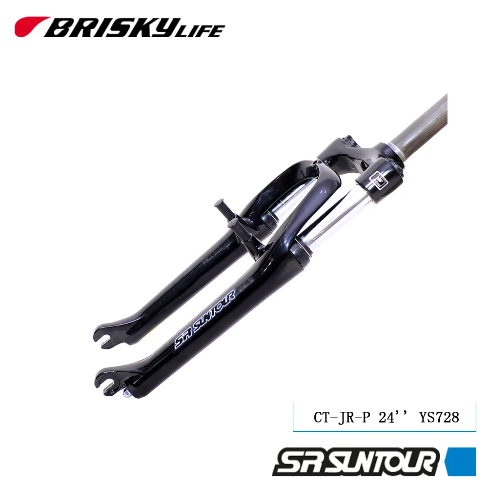 Buy Inexpensive Bicycle Suspension Fork 