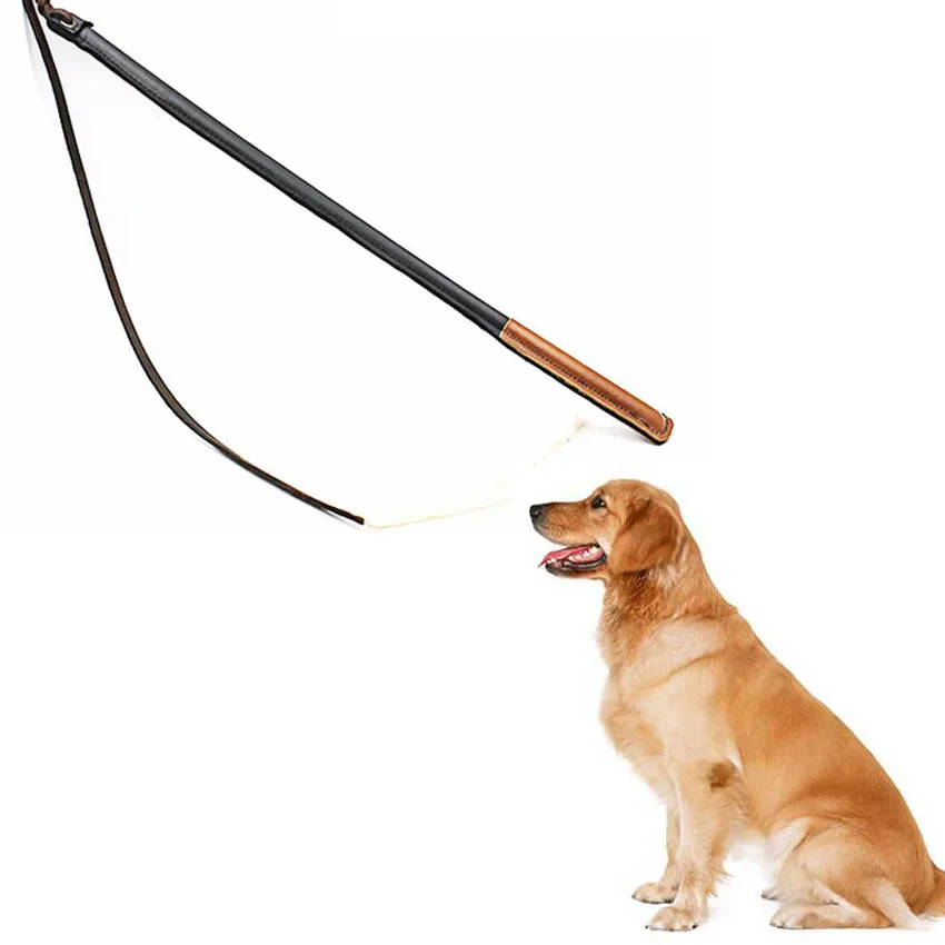 

Hot selling dog training stick professional whip agitation stick for dog, Picture