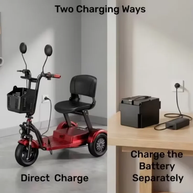 Family Double Motor Electric Scooter Senior Folding Removable Battery/Basket 48V 1000W Powerful Electric Tricycle Adults Girls