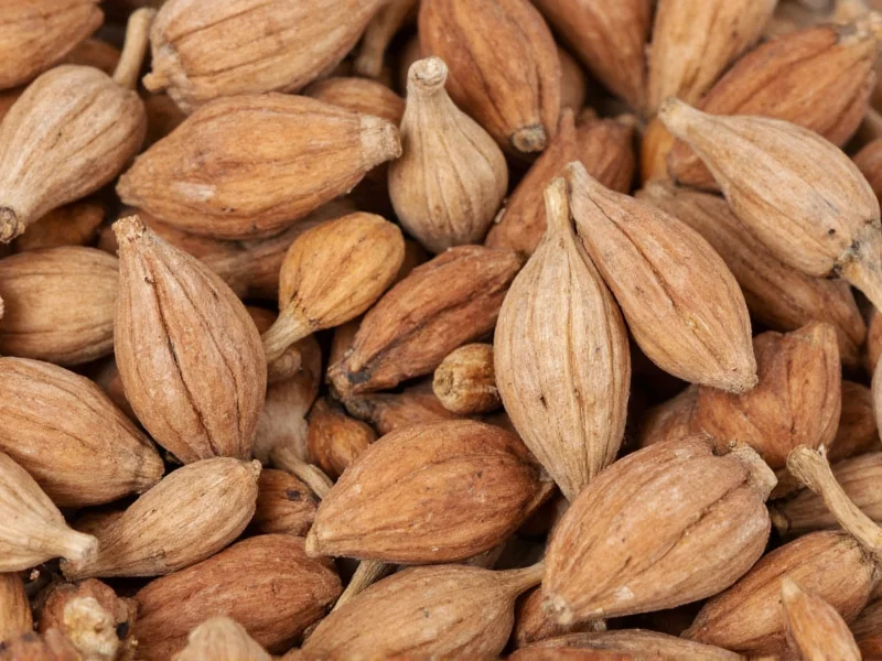 Galangal Spice: What It Is & How to Use It