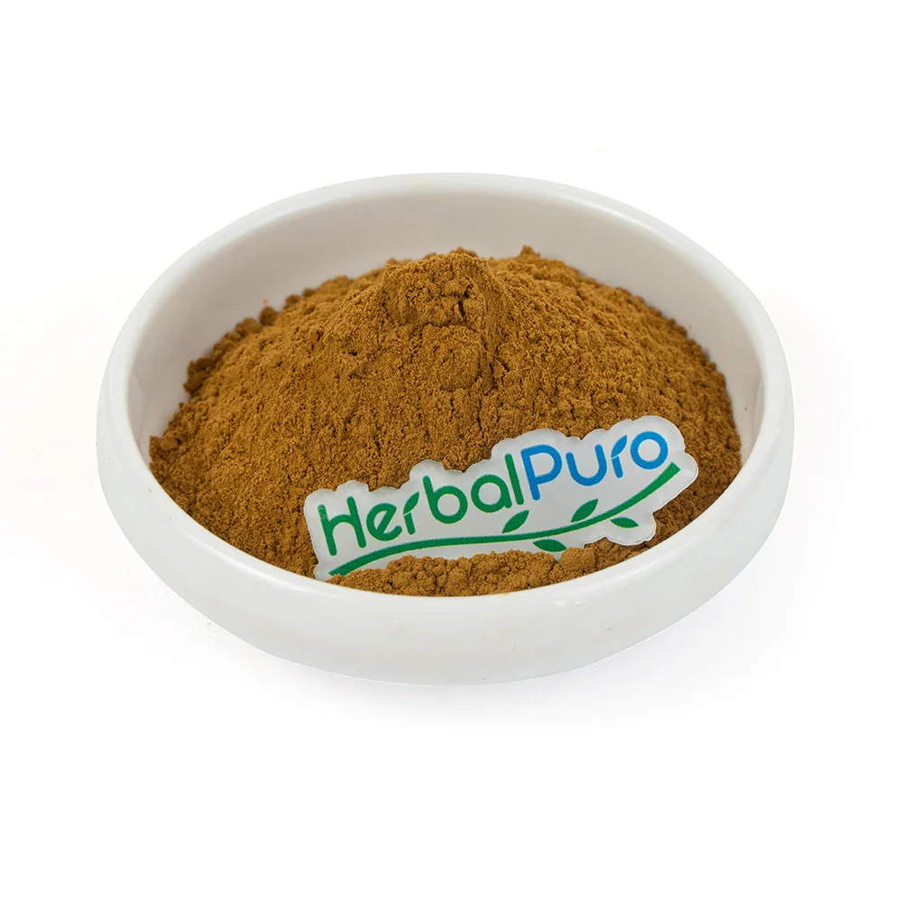 

Wholesale Fucoxanthin Kelp Extract Powder 10:1 Laminaria japonica extract