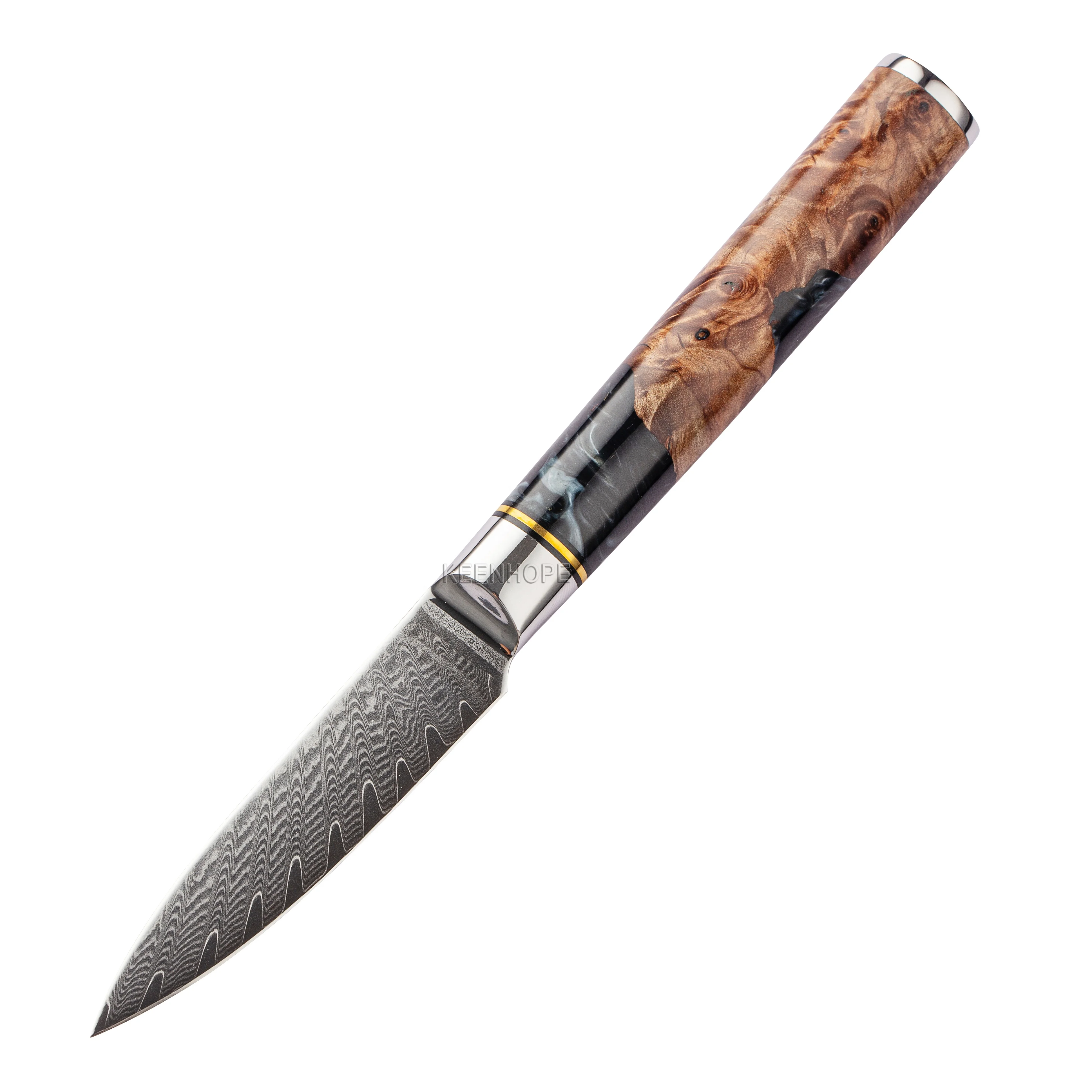 

3.5 inch Paring Knife Damascus Kitchen Knife 67 Layers Damascus Steel with Resin and Wood Handle