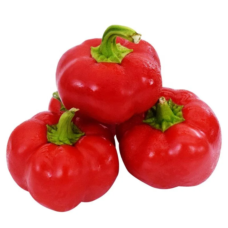 
Mexico Grown Red Bell Pepper Vegetable Robinson Fresh MOQ 22-26 COUNT Quick Delivery in US 