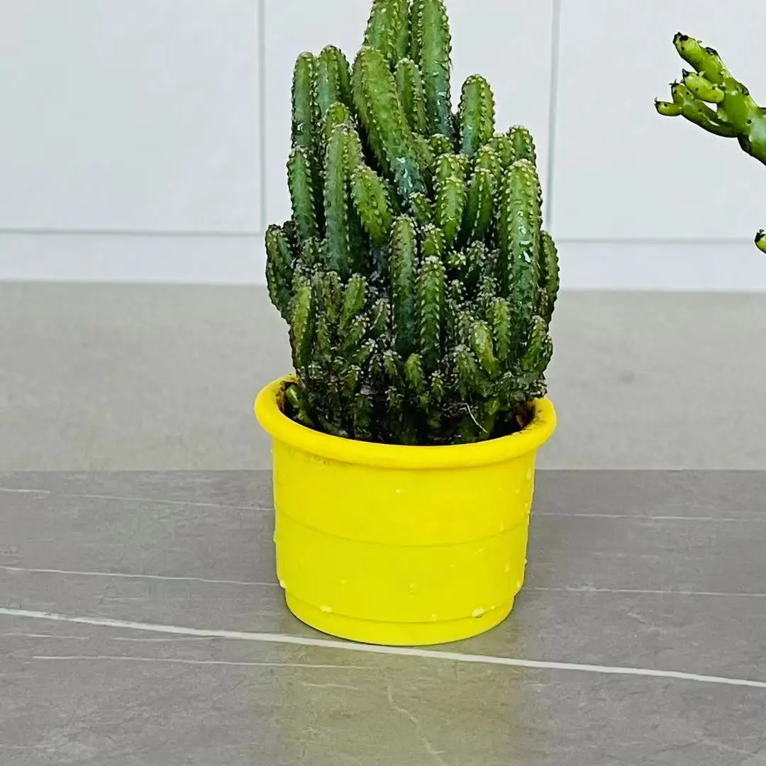 

Unique Design Environmental silicone Pots,flower Pot Silicone Mold Planter for Livingroom