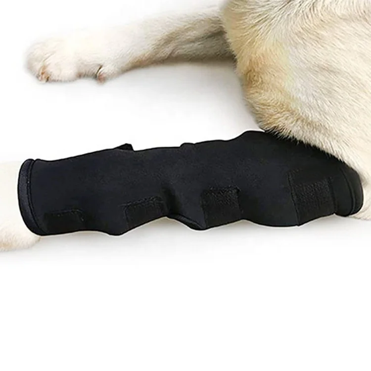 

Amazon Top Seller Pet Supplies and Accessories Knee Joint Support Pads Dog Leg Sleeve Canine Knee Brace, Black,red,blue