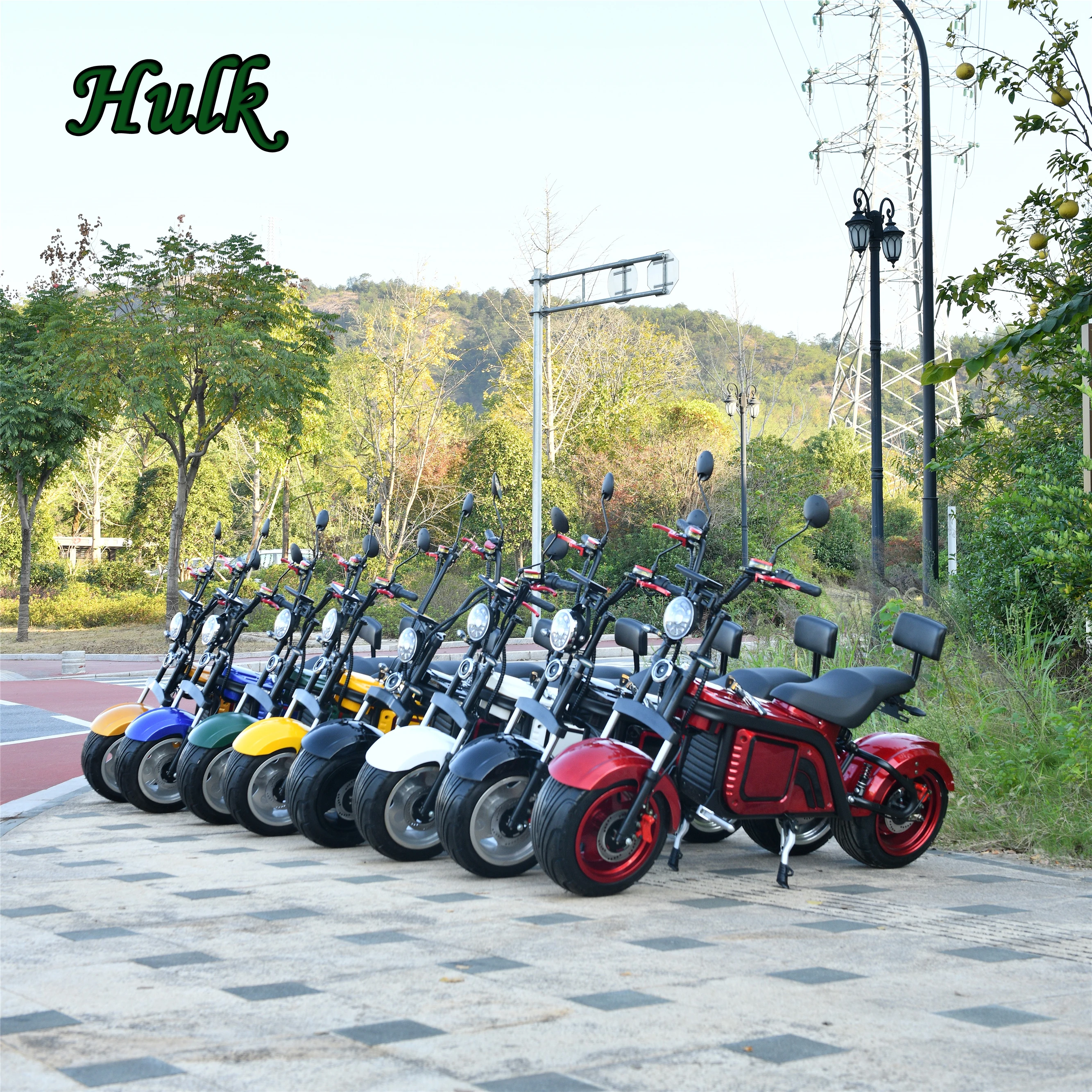 

Electric Scooter Citycoco Security Removable Lithium Battery China Factory Fat Tire Adding Options