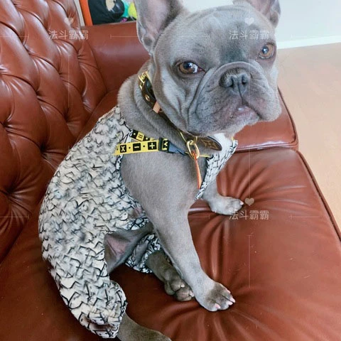 

New trendy brand Teddy Pug fat dog clothes comfortable denim pet elastic overalls