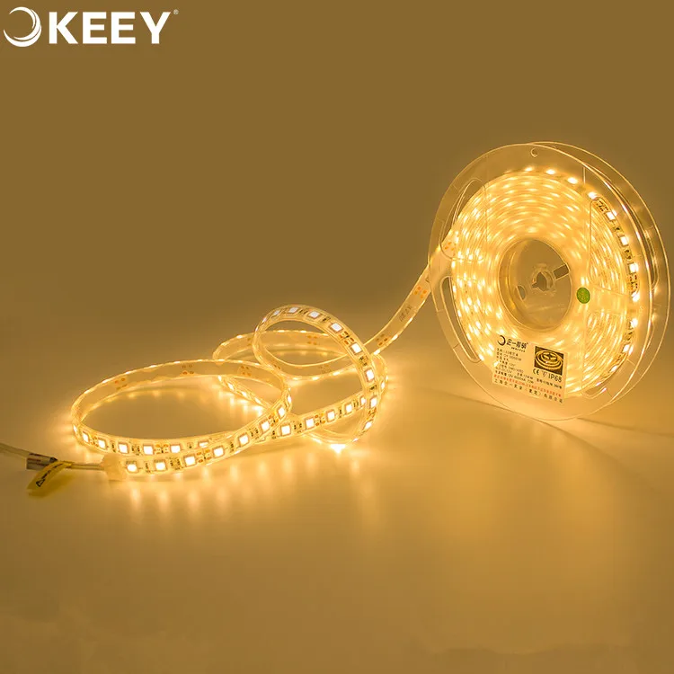 2020 keey high brightness cuttable flexible waterproof led strip light 5050 60w 5m led light strip outdoor use DD603