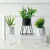 Creative office home decorations iron art flowerpot desktop potted plants iron bucket pendulum