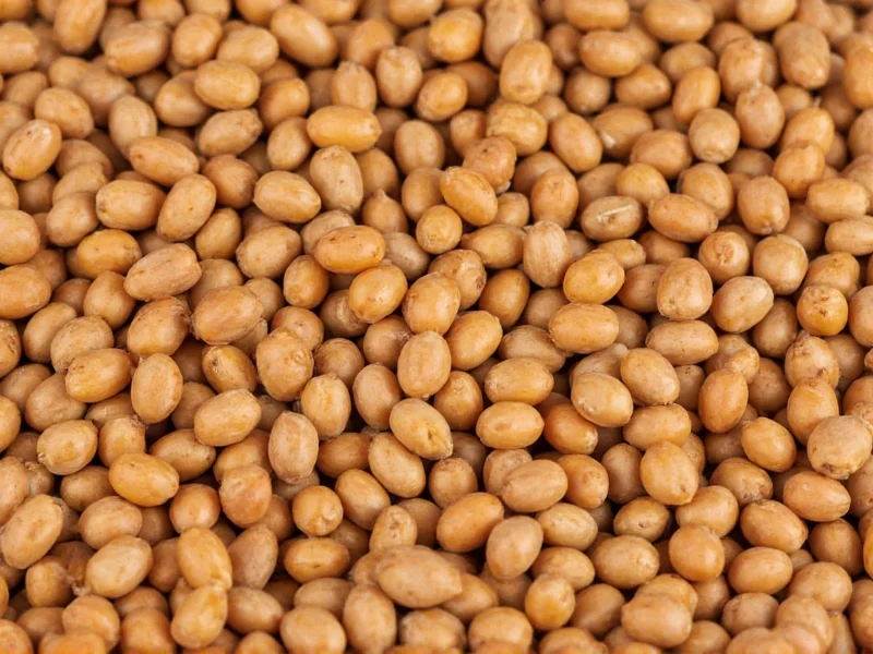what is lentil