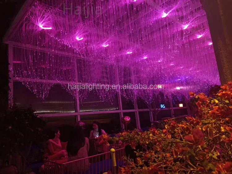 fiber optic light 12.jpg