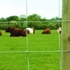 Inexpensive Quality Hinge Joint Horse Safe Mesh Fencing