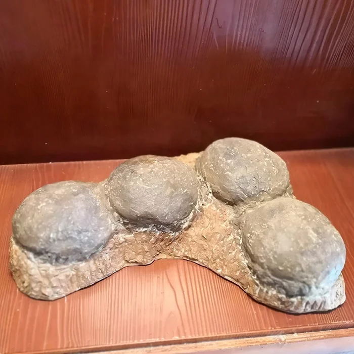 

Interesting dig and discover dinosaur fossil eggs for sale, Real fossil color