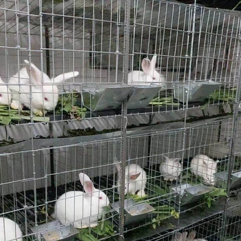 wholesale rabbit cages