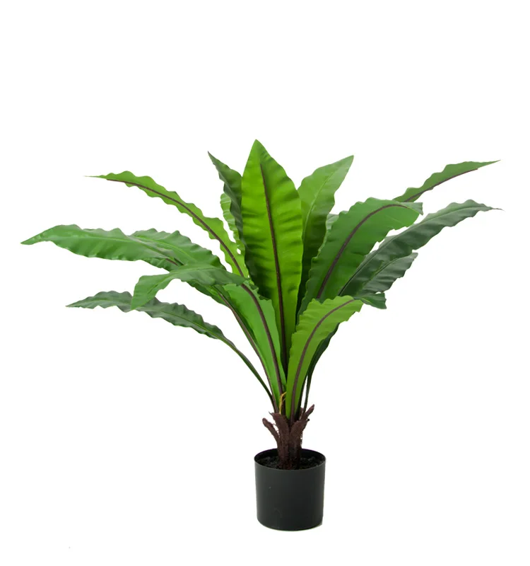 

indoor and outdoor decoration soft leaf geranium artificial bird's nest fern tree Artificial plant, Green or yellow edge