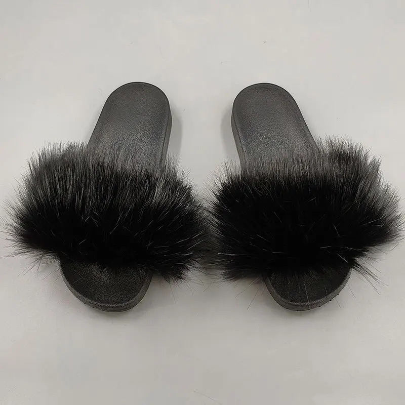 racoon slides