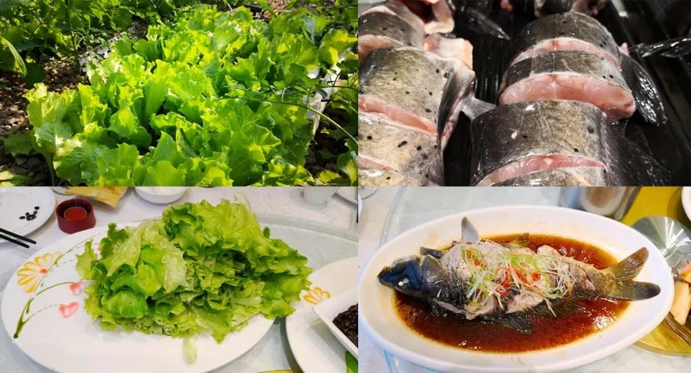 aquaponics farming supplies.jpg