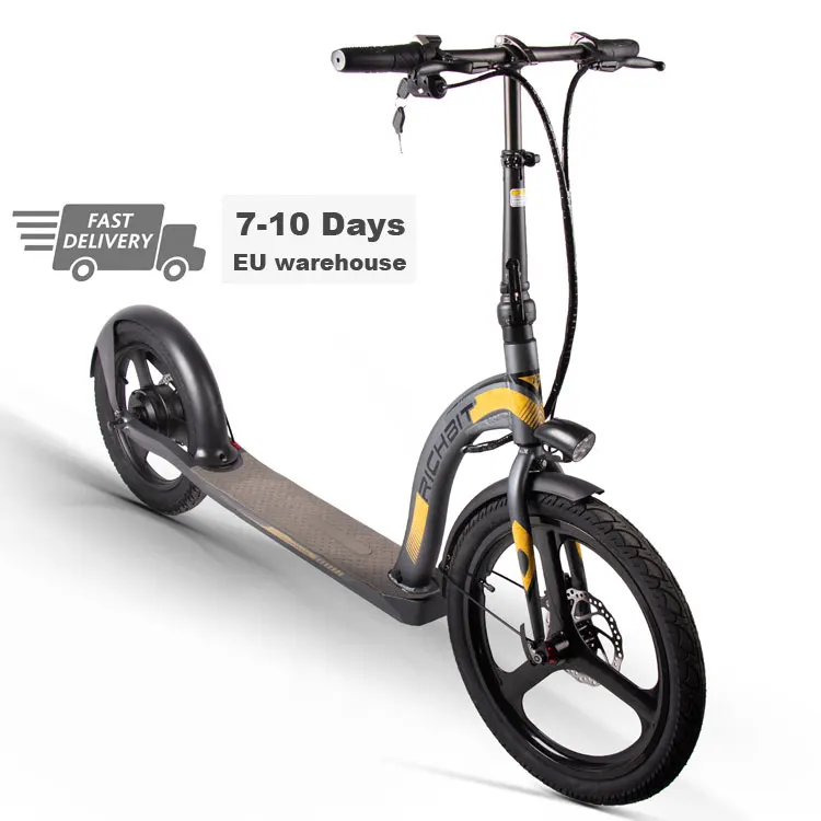 

Original kick scooters 10AH Battery removable 20inch 350w Motor 45KM Range foldable electric Scooter, Customized