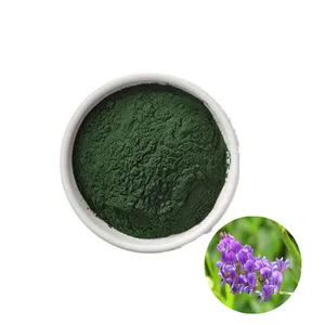 organic natural alfalfa sprout extract chlorophyll powder