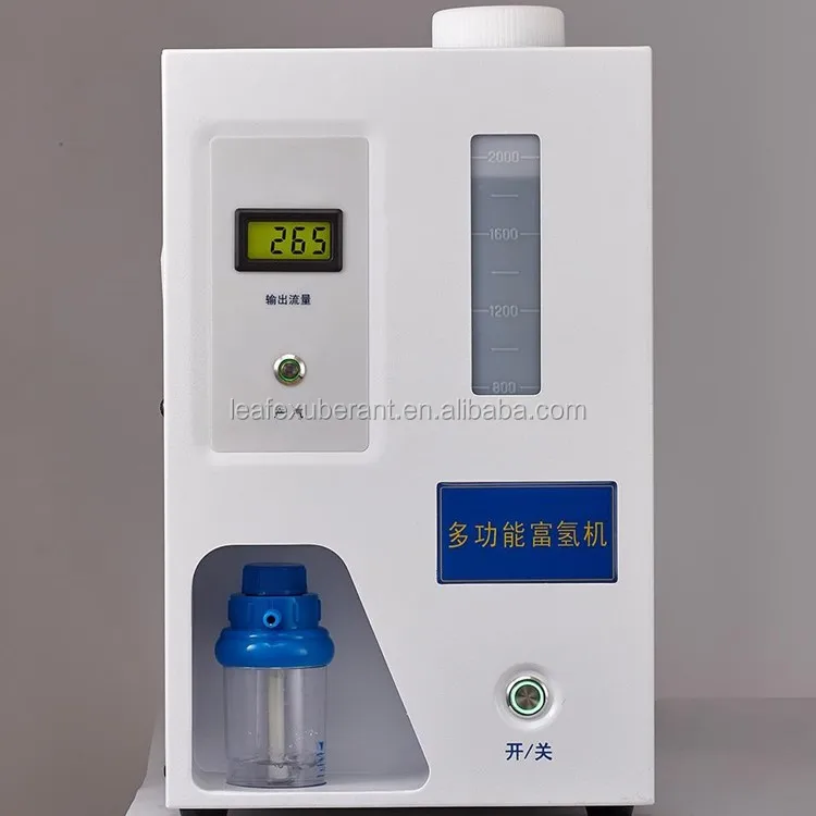 hydrogen generator.jpg