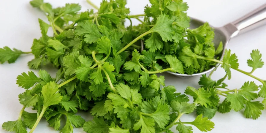Taco Seasoning Blend with Dry Cilantro