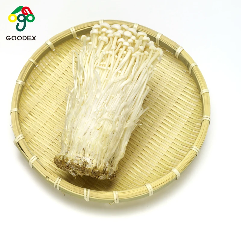 good taste dried needle mushroom enoki mushroom,needle enoki
