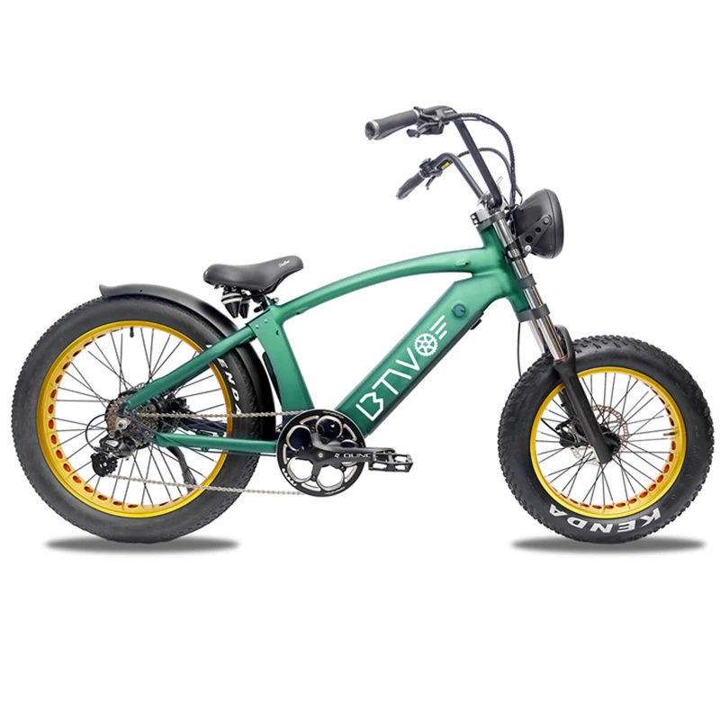 

Aluminum Alloy Frame Fat Tire Electric Bike 48V Snow Ebike Vintage Electric Bicycle, Custom made
