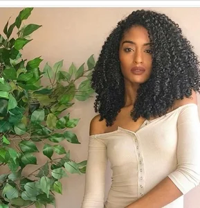 Mona Hair Gluelss Full Lace Human Hair Wigs For Black Women Kinky Curly raw virgin Hair Wig Pre Plucked Hairline