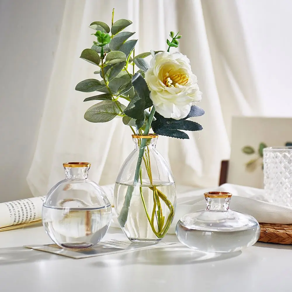 

European Style Golden Edge Glass Vase Transparent Color Rich Bamboo Lily Flower Arrangement Bottle Decorative Decoration Home