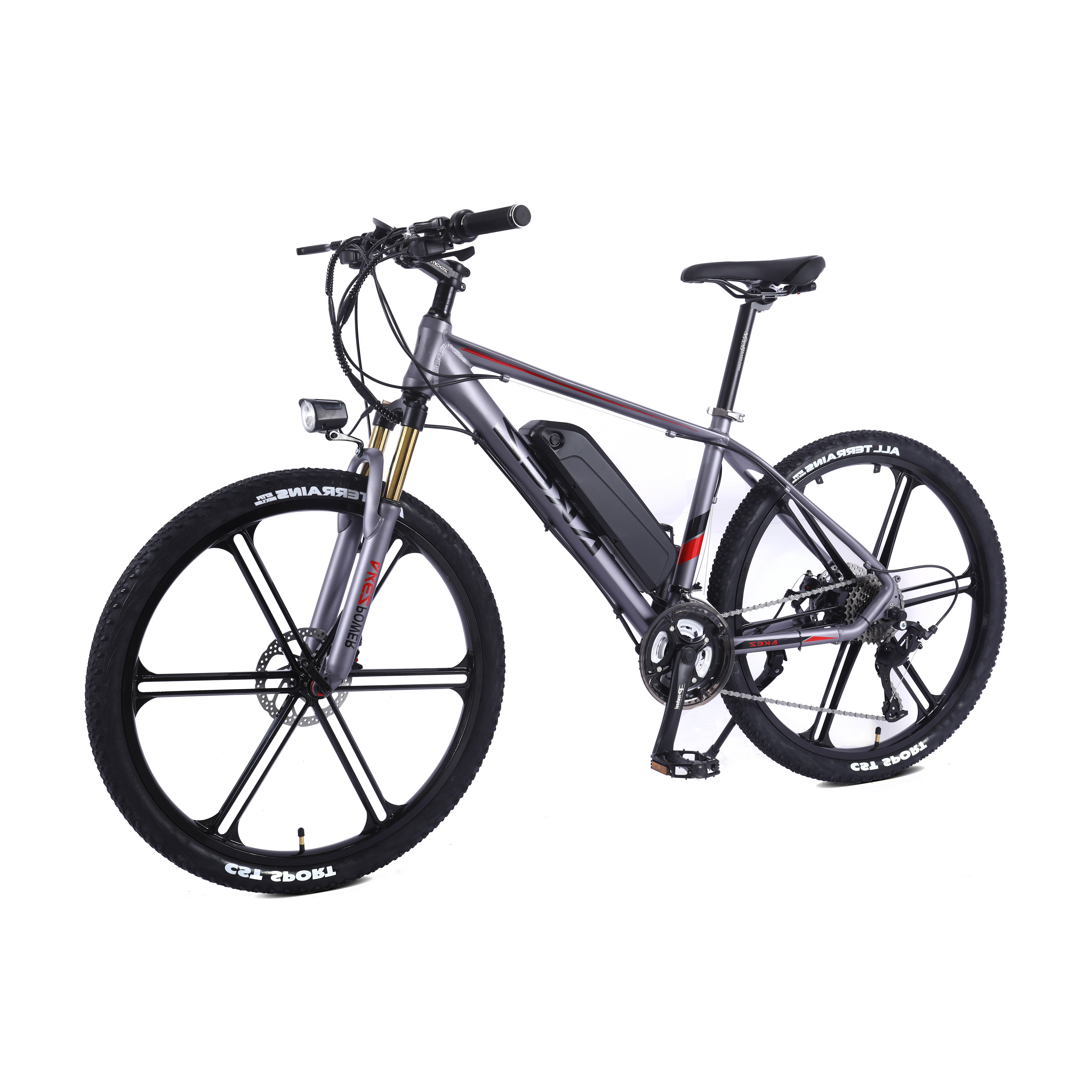 

Electic bike 2021 China manufacturer whole sale 26 inch electric mountain bike, Black