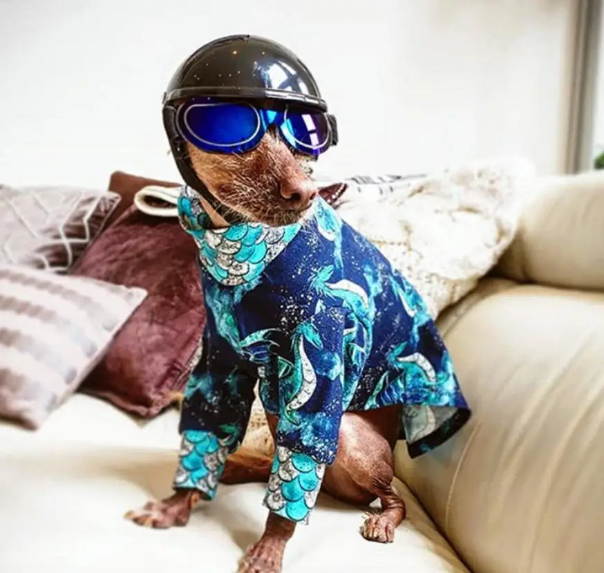 

Uv Protection Wind Universal Sun Pet Supplies Dog Glasses