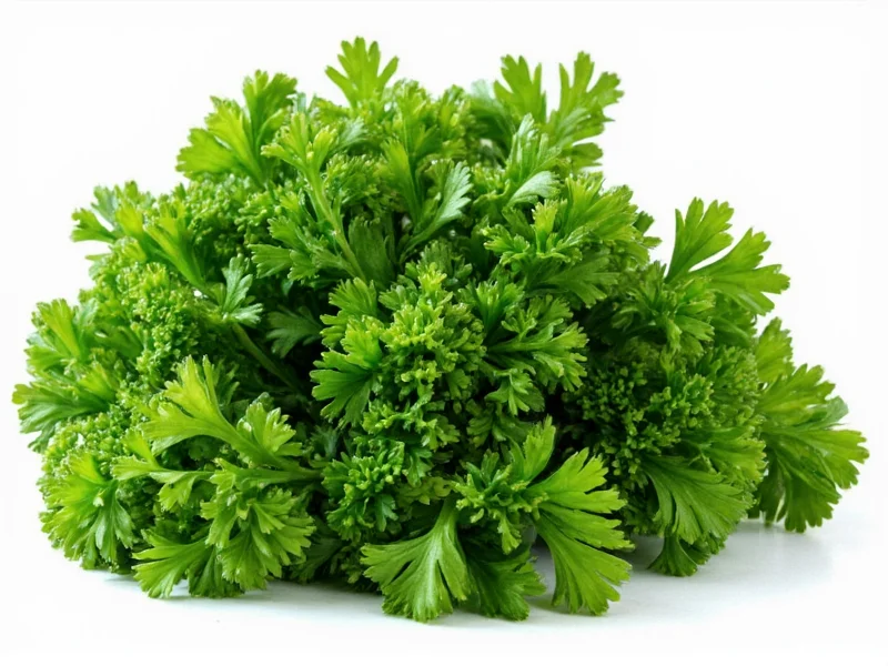 Best Parsley Substitutes: Practical Kitchen Alternatives