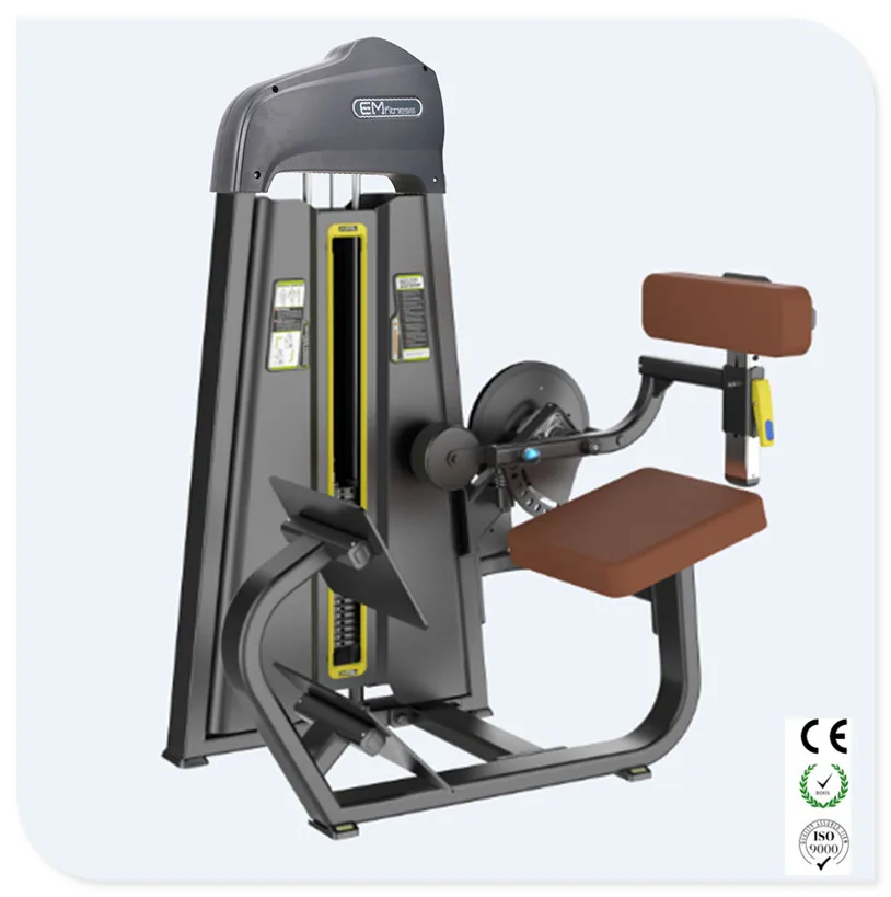 2019 Bodybuilding Equipment Back Extension Gym Machine/gym Equipment